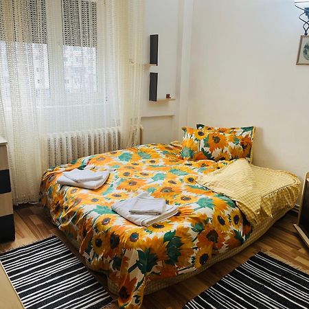 Apartament Cornelia Buzău Zewnętrze zdjęcie